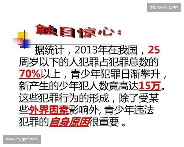 强化系统中的五大核心影响因素解析及其相互关系探讨 强化系统中的五大核心影响因素解析及其相互关系探讨
